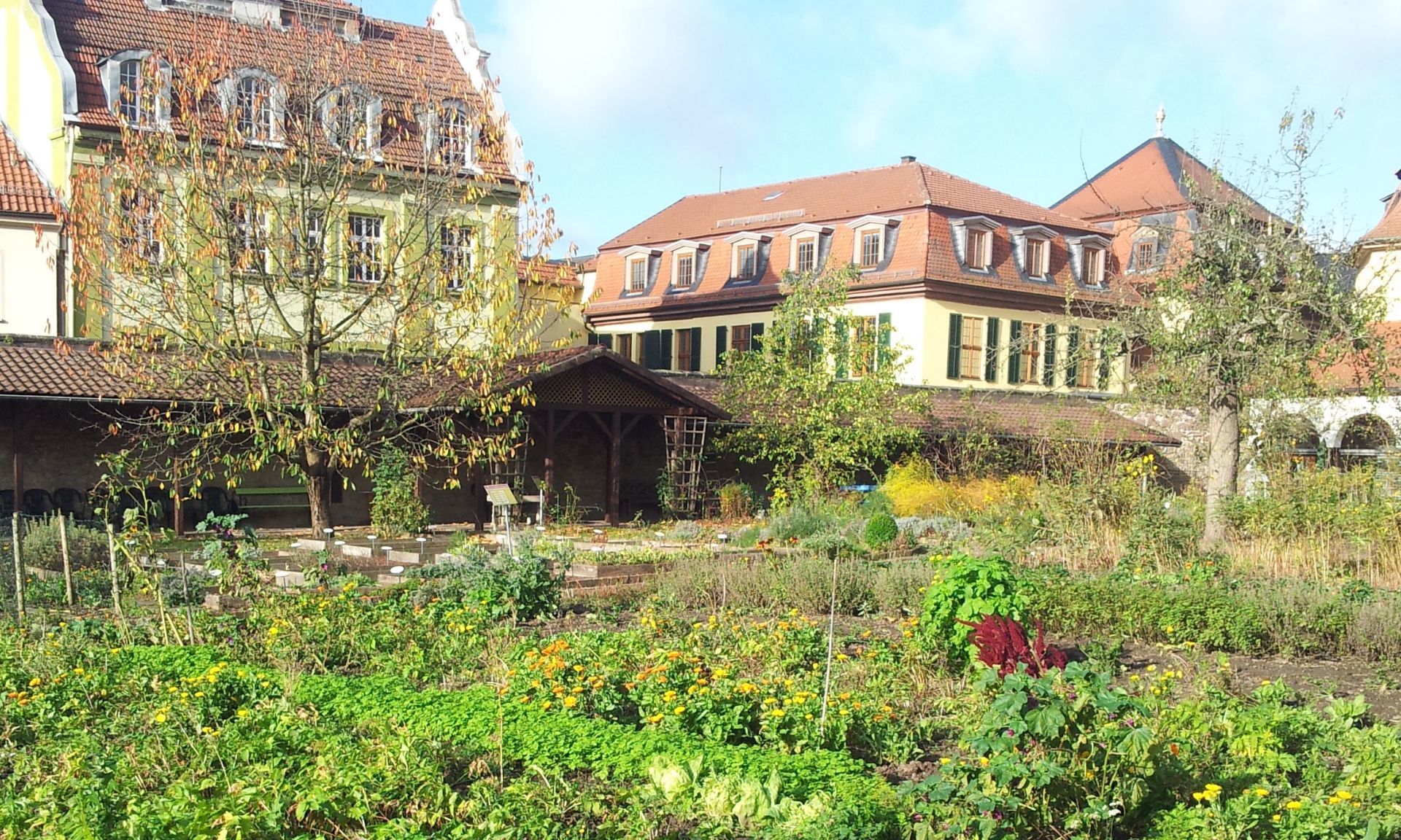 Garden secrets from the monastery