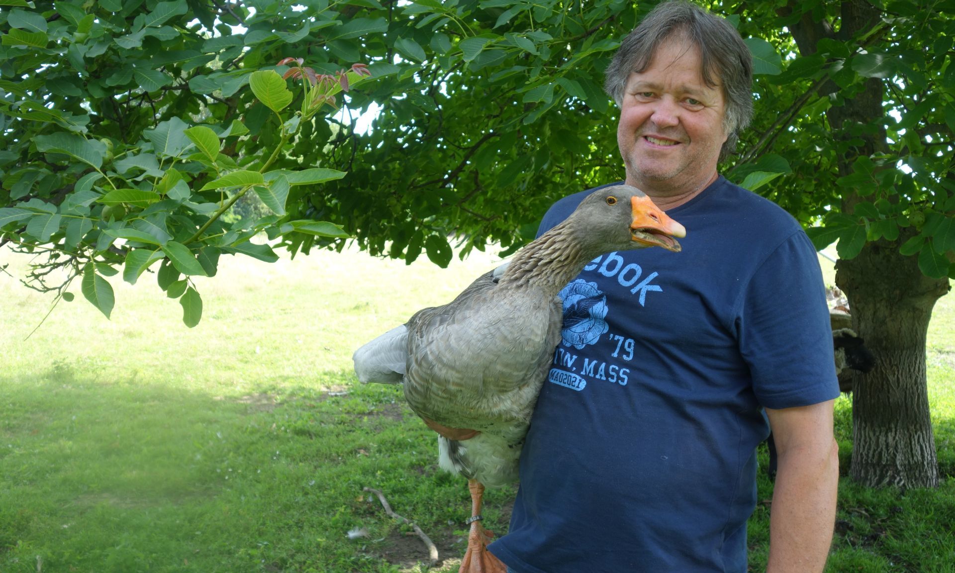 A visit to goose farmer Huettig